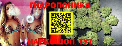 молекула духа Балашиха
