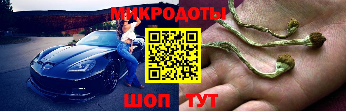 Галлюциногенные грибы GOLDEN TEACHER Губкин